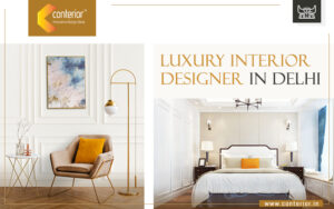 Luxury Interior Designer